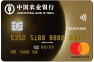 农业银行全球支付芯片卡