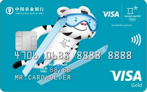 农行Visa2018冬奥会主题信用卡 金卡(蓝)