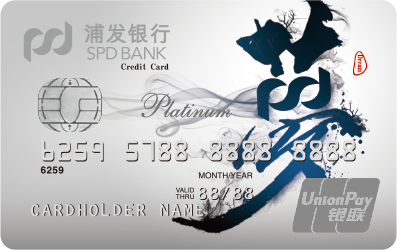 浦发银行白金梦卡(梦时代-银联)