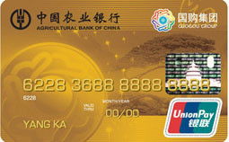 农业银行金穗国购联名卡 金卡