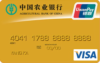 农业银行金穗双币贷记卡 金卡(VISA)
