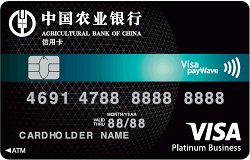农业银行全球支付芯片卡 白金卡(VISA)