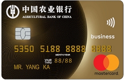 农业银行全球支付芯片卡 金卡(万事达)