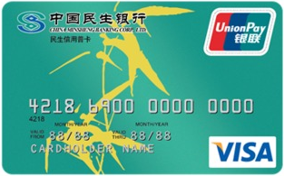 民生银行标准信用卡(普卡,银联+VISA)