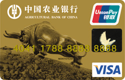 农业银行金穗公务卡(Visa)