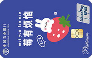 农业银行悦系列信用卡 没有烦恼  白金卡