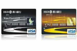 九通信用卡·Visa美元卡