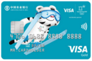 农业银行Visa冬奥主题信用卡