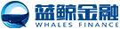 蓝鲸金融