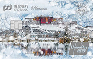 浦发银行国家宝藏主题信用卡 布达拉宫 白金卡
