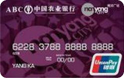 农业银行金穗南洋联名信用卡 普卡