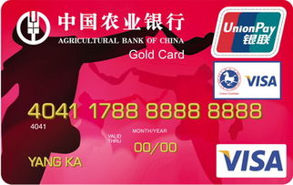 农行金穗东方神韵国际旅游卡(红色)
