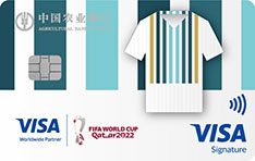 农业银行2022年卡塔尔世界杯主题信用卡 潘帕斯雄鹰-队服版 白金卡 农业银行2022年卡塔尔世界杯主题信用卡 潘帕斯雄鹰-队服版 白金卡