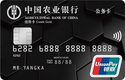 农业银行中央预算单位公务卡(地方预算单位公务卡-地方)