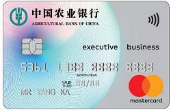 农业银行全球支付芯片卡 白金卡(万事达)