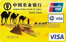 农行金穗东方神韵国际旅游卡(黄色)   普卡