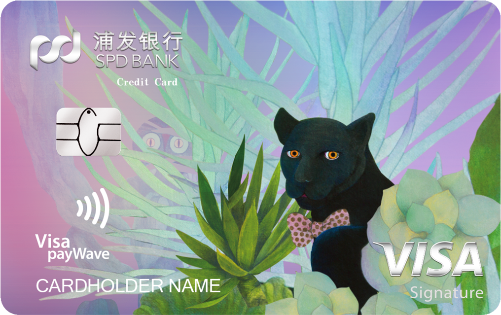 浦发银行visa御玺白金信用卡(黑豹版)