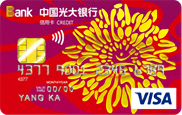 光大银行阳光信用卡 普卡(VISA)