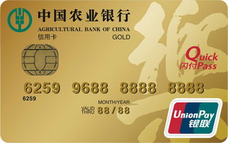 农业银行乐卡-带电子现金金卡