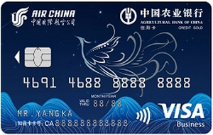 农业银行凤凰知音联名信用卡(Visa金卡)