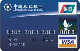 农业银行金穗双币贷记卡 普卡(VISA)