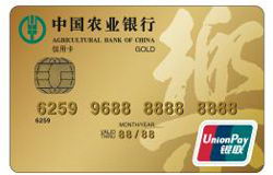农业银行乐卡-不带电子现金金卡