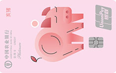 农业银行生肖主题信用卡 亥猪 白金卡