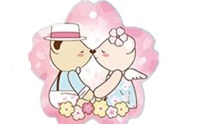 招商银行泰迪珍藏版(浪漫花瓣卡)